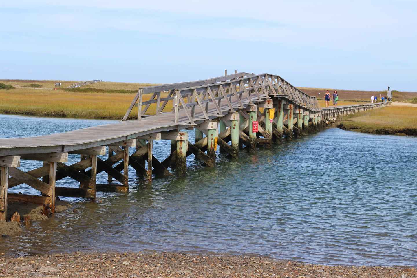 full-day tour of cape cod with biking options