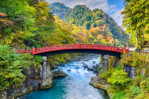 From Tokyo: 10-hour Private Custom Tour to Nikko From Tokyo: 10-hour Customize Tour with Driver and Guide