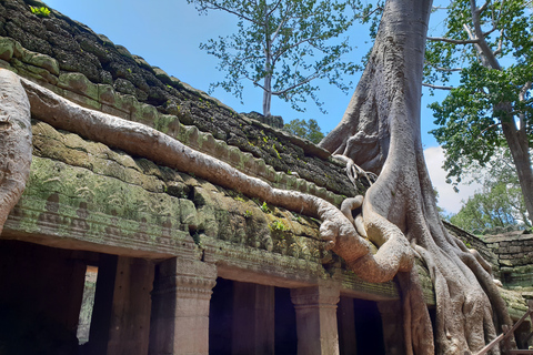 Angkor Sunrise, Taprohm and Angkor Thom.Classical Angkor Day Tour