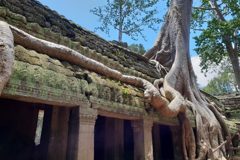 Excursión clásica de un día a Angkor