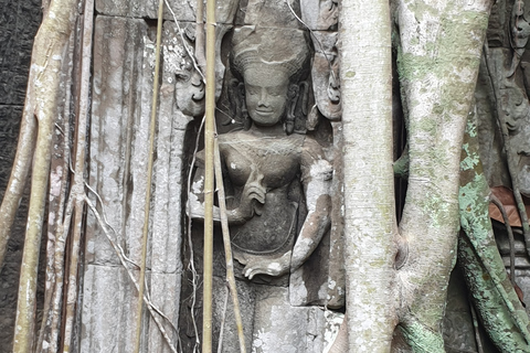 Angkor Sunrise, Taprohm and Angkor Thom.Classical Angkor Day Tour