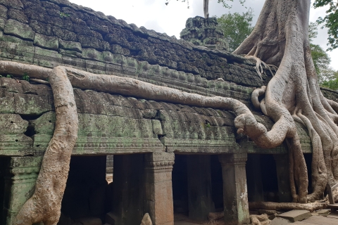 Excursión clásica de un día a Angkor