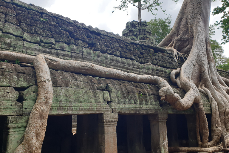 Angkor Sunrise, Taprohm and Angkor Thom.Classical Angkor Day Tour