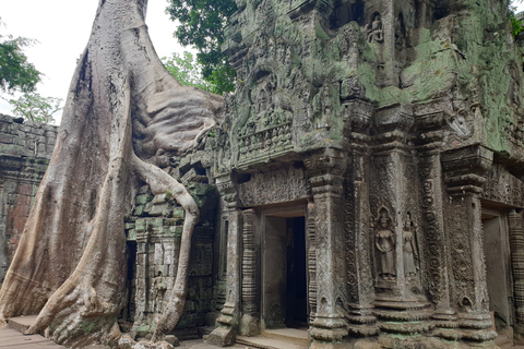 Angkor Sunrise, Taprohm and Angkor Thom.Classical Angkor Day Tour