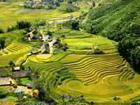 From Hanoi, 2-Day Sapa Trekking Trip with Homestay & Meals - Housity