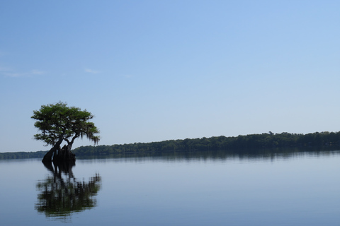 Lago Norris di Orlando: tour esplorativo in kayak di 5 ore con pranzo