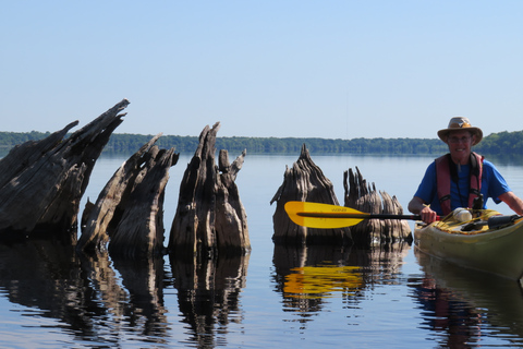 Lago Norris di Orlando: tour esplorativo in kayak di 5 ore con pranzo