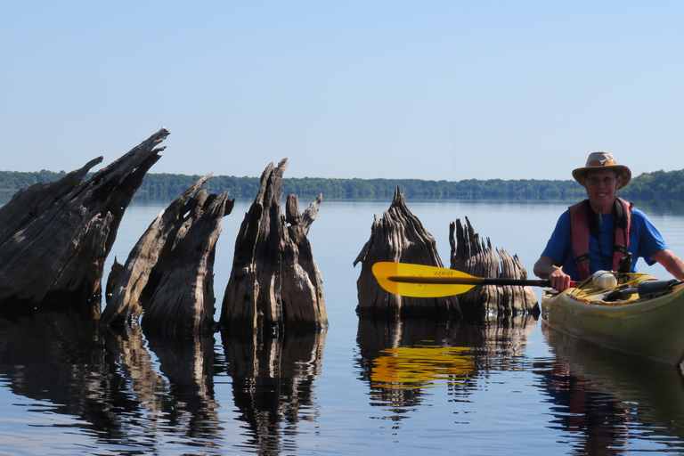 Lago Norris di Orlando: tour esplorativo in kayak di 5 ore con pranzo