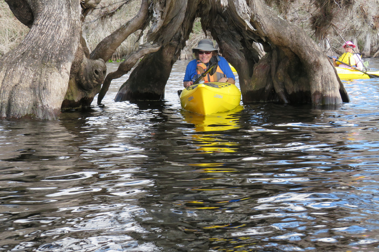 Lago Norris di Orlando: tour esplorativo in kayak di 5 ore con pranzo