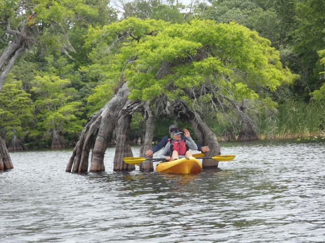 Visit Orlando's Lake Norris 5-Hour Kayak Explorer Tour with Lunch in Mount Dora