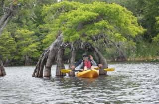Orlando's Lake Norris: 5-stündige Kajak-Explorertour mit Mittagessen