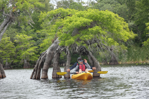 Lago Norris di Orlando: tour esplorativo in kayak di 5 ore con pranzo