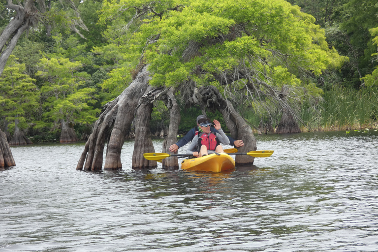 Lago Norris di Orlando: tour esplorativo in kayak di 5 ore con pranzo