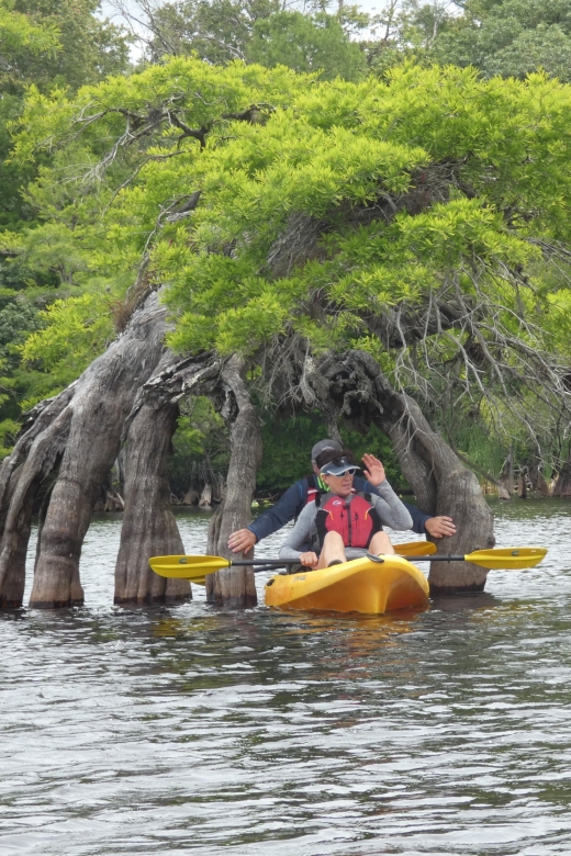 Lake Forest Travel Guide  Lake Forest Tourism - KAYAK