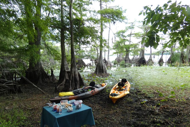 Lago Norris di Orlando: tour esplorativo in kayak di 5 ore con pranzo