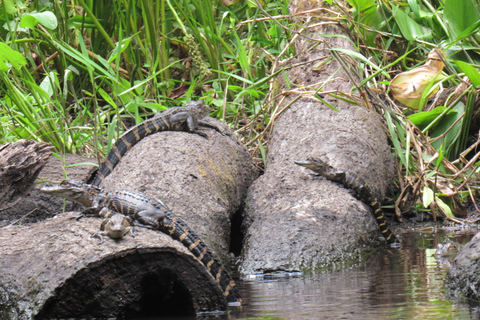 Blackwater Creek: Exclusive Nature Escape Kayak Adventure Blackwater Creek: Exclusive Wilderness Kayak Adventure