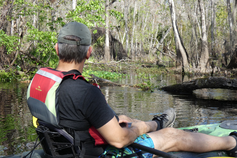 Blackwater Creek: Exclusive Nature Escape Kayak Adventure Blackwater Creek: Exclusive Wilderness Kayak Adventure