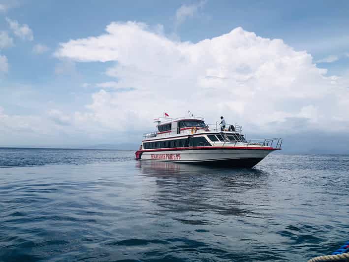 Gili Trawangan/Gili Air/Lombok to Nusa Penida by Speedboat GetYourGuide