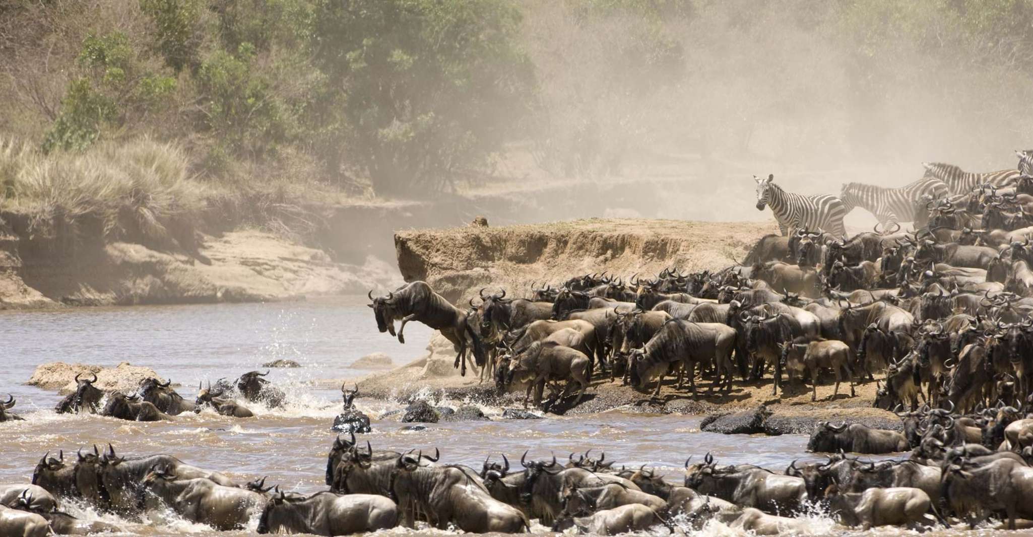 3 gün grup safari maasai mara ile 4x4 landcruiser - Hizvo