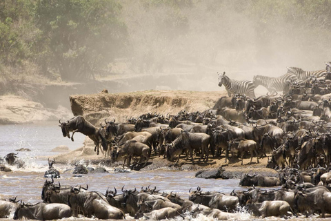 3 days group safari to maasai mara with a 4x4 landcruiser