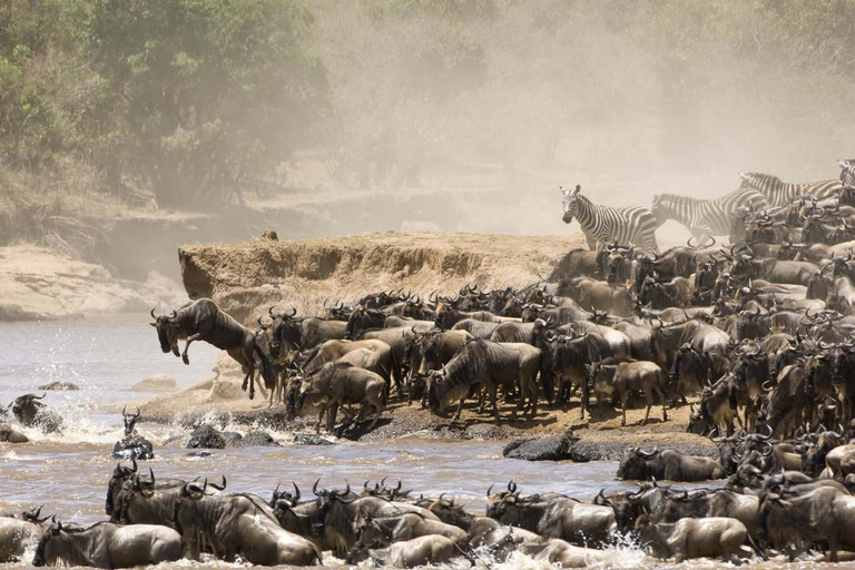 3 dagars gruppsafari till Maasai Mara med en 4x4 landcruiser