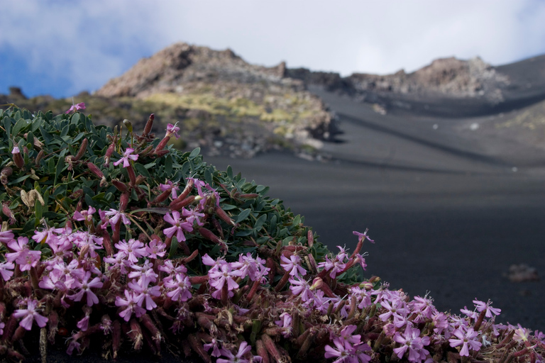 Etna Excursion Morning or Sunset and Visit Lava Flow Cave Standard Option