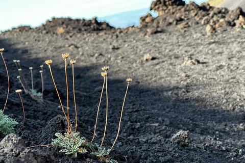 Etna Excursion Morning or Sunset and Visit Lava Flow Cave Standard Option