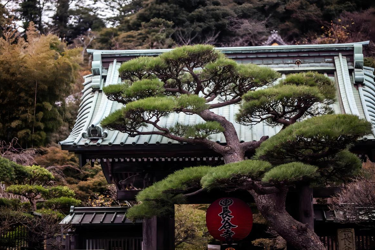 Von Tokio aus: 10-stündige, private Tour nach KamakuraAb Tokio: 10-stündige Tour mit Fahrer und Reiseführer