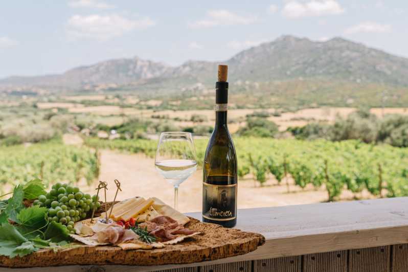 Olbia: Gallura Winery Guided Tour with Tasting