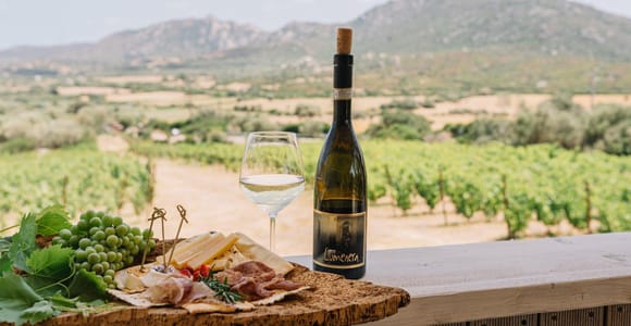 Olbia: Führung durch das Weingut Gallura mit Verkostung