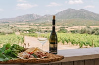 Olbia, Gallura Winery Guided Tour met proeverij - Housity