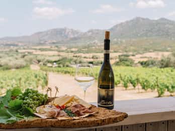 Olbia: Führung durch das Weingut Gallura mit Verkostung