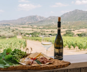 Olbia: Tour guidato delle cantine Gallura con degustazione