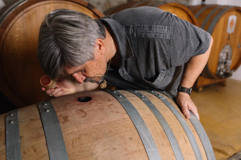 Olbia: Gallura Winery Guided Tour with Tasting