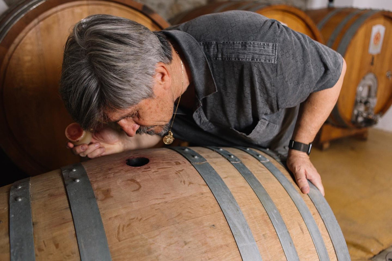 Olbia: Gallura Winery Guided Tour with Tasting