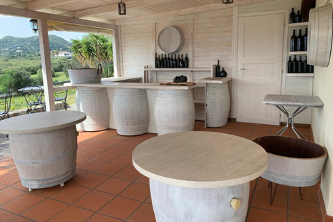 Olbia: Gallura Winery Guided Tour with Tasting