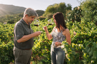 Olbia, Gallura Winery Guided Tour met proeverij - Housity