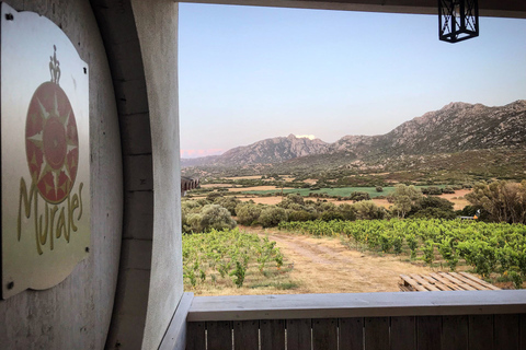 Olbia: Gallura Winery Guided Tour with Tasting