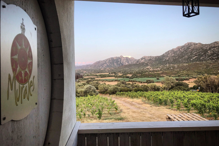 Olbia: Gallura Winery Guided Tour with Tasting