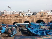 Essaouira, Guided Day Trip with Argan Oil Cooperative - Housity