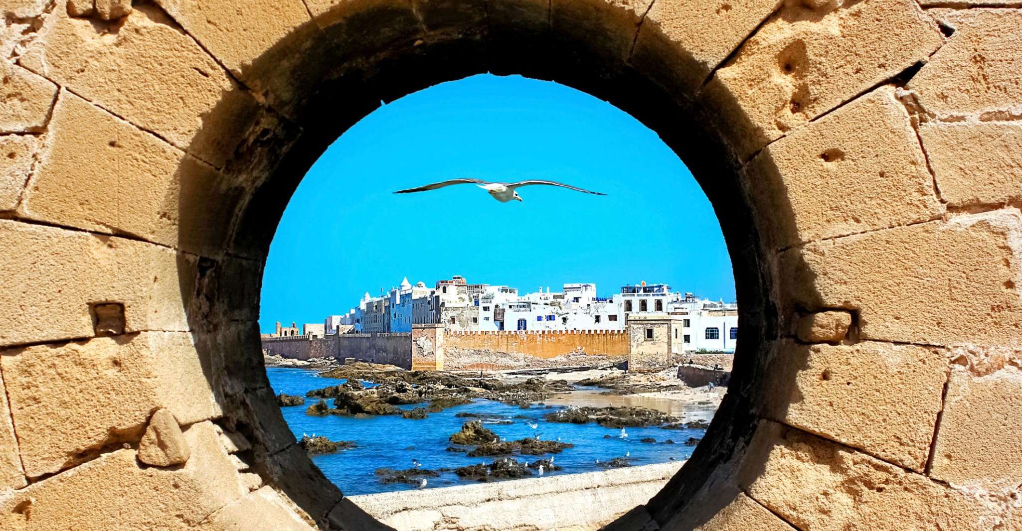 Essaouira, Guided Day Trip with Argan Oil Cooperative