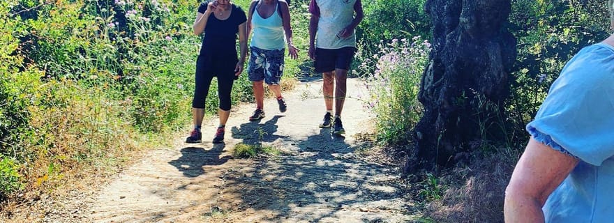 Journée de randonnée à Triund depuis Dharamshala