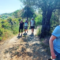 DharamshalaからTriundへのハイキングデイツアー - Housity