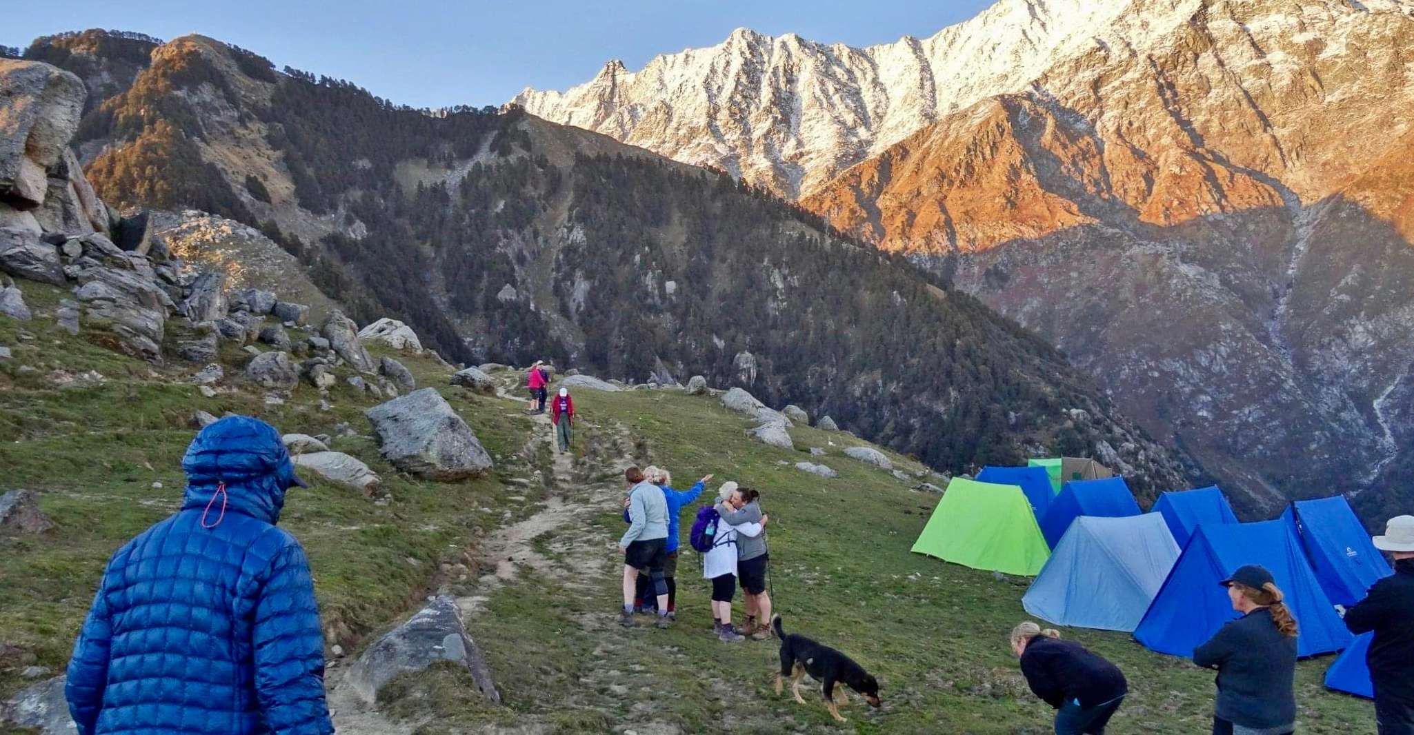 Hiking Day Tour to Triund from Dharamshala - Housity