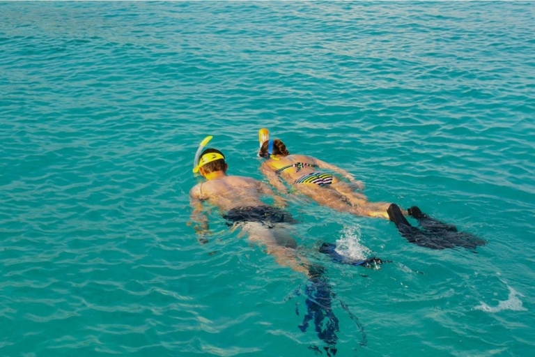 La Palma : Excursión de snorkel en Los CancajosExcursión de snorkel Los Cancajos La Palma