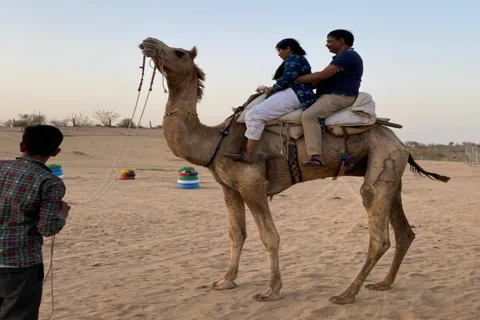 From Jodhpur: Half-Day Tour, Camel Ride, & Dinner in Osian