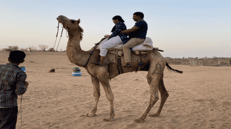 Tour di mezza giornata di Camel Safari a Jodhpur con cena