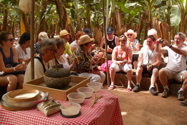 Teneriffa : Finca Las Margaritas BananenerlebnisGeführte Tour auf Französisch und Englisch