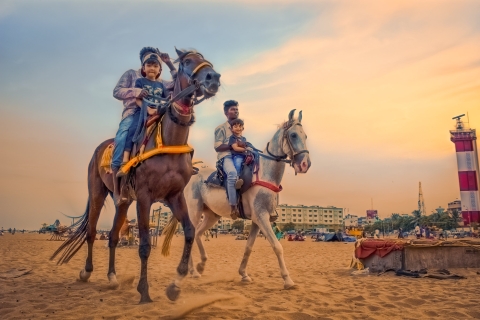 Agadir : Promenade à cheval au coucher du soleil avec dîner