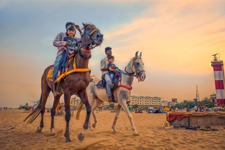 Agadir : Promenade à cheval au coucher du soleil avec dîner